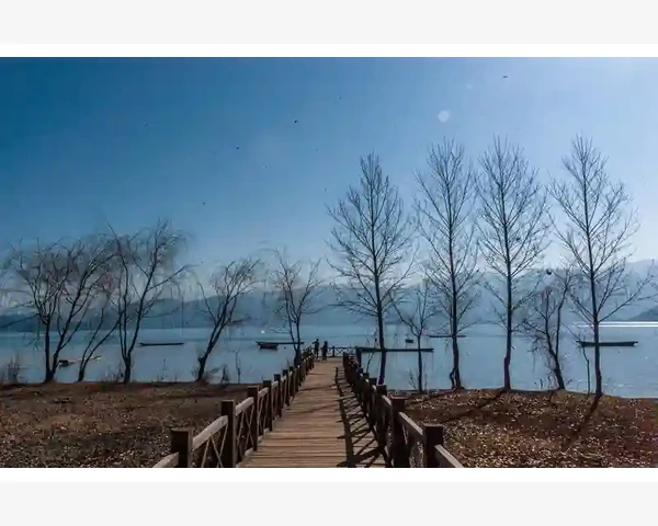 吃什么养脾胃之气效果好