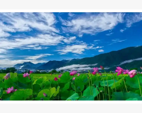 B2B经营模式分类企业交易路径解析