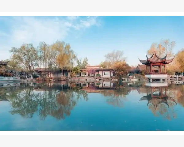 脾胃气虚积食消化不良的调理指南